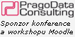 PragoData Consulting